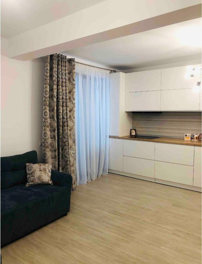 Apartment Luxury Râmnicu Vâlcea Extérieur photo